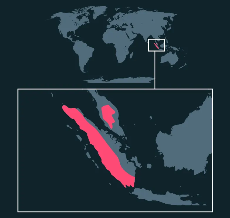 Siamang distribution map
