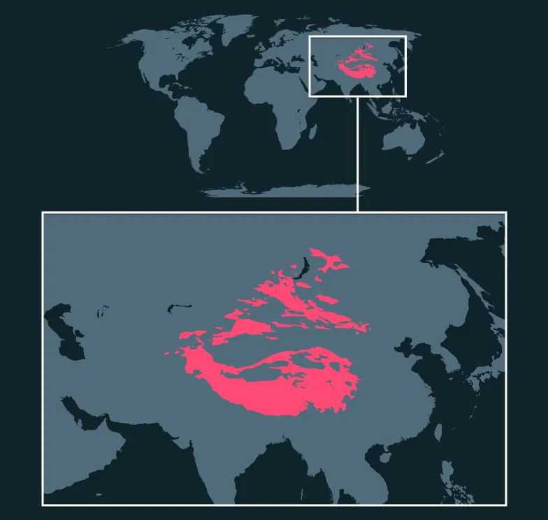 Snow Leopard distribution map