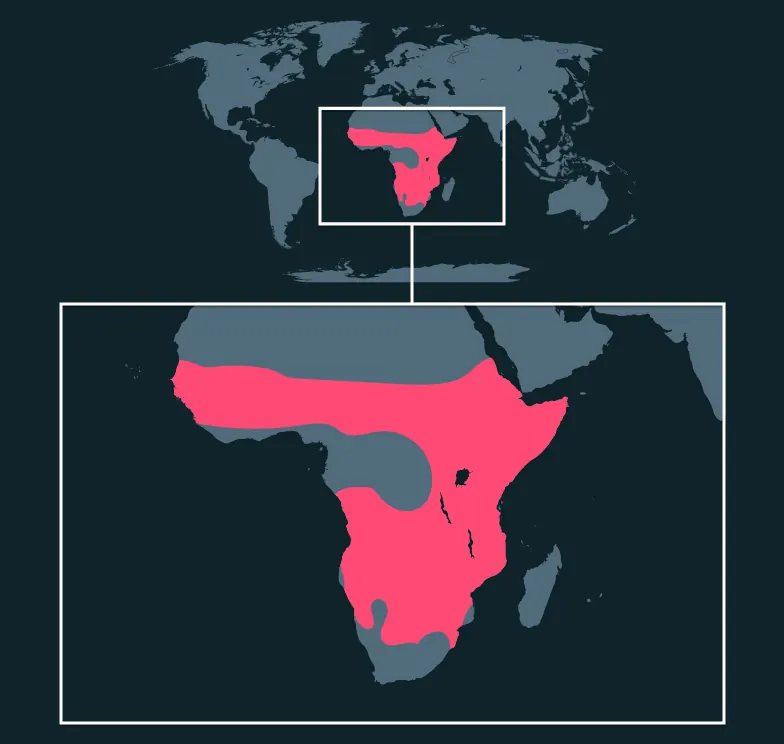 Spotted Hyena distribution map