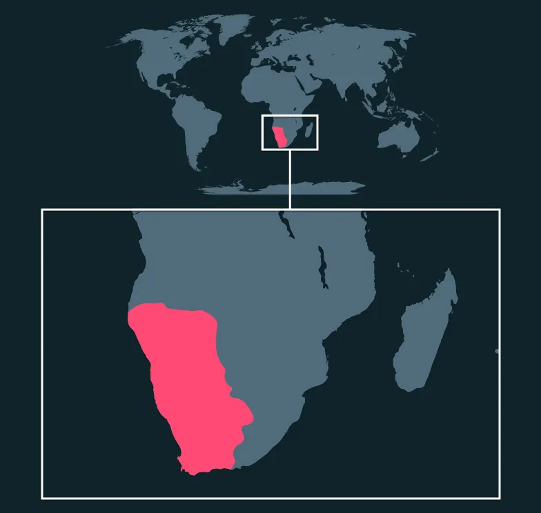 Springbok distribution map