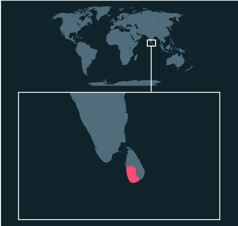 Sri Lankan Rose distribution map