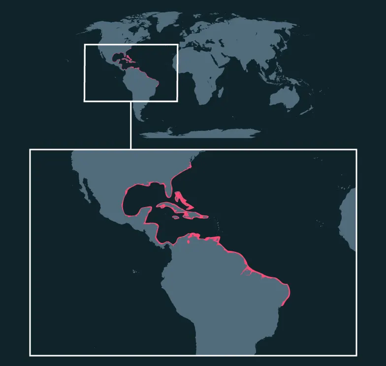 West Indian Manatee distribution map