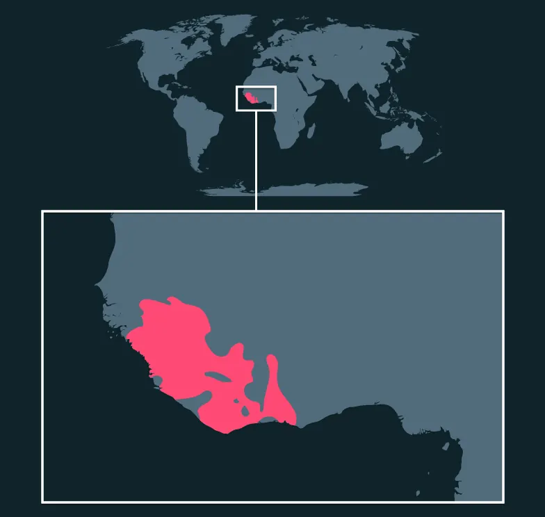 Western Chimpanzee distribution map