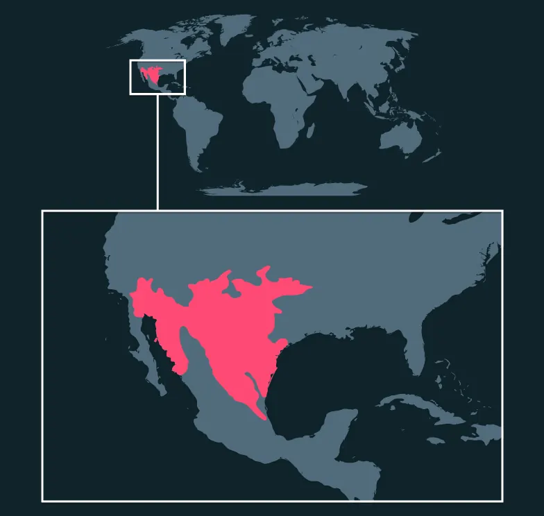 Western Diamondback Rattlesnake distribution map