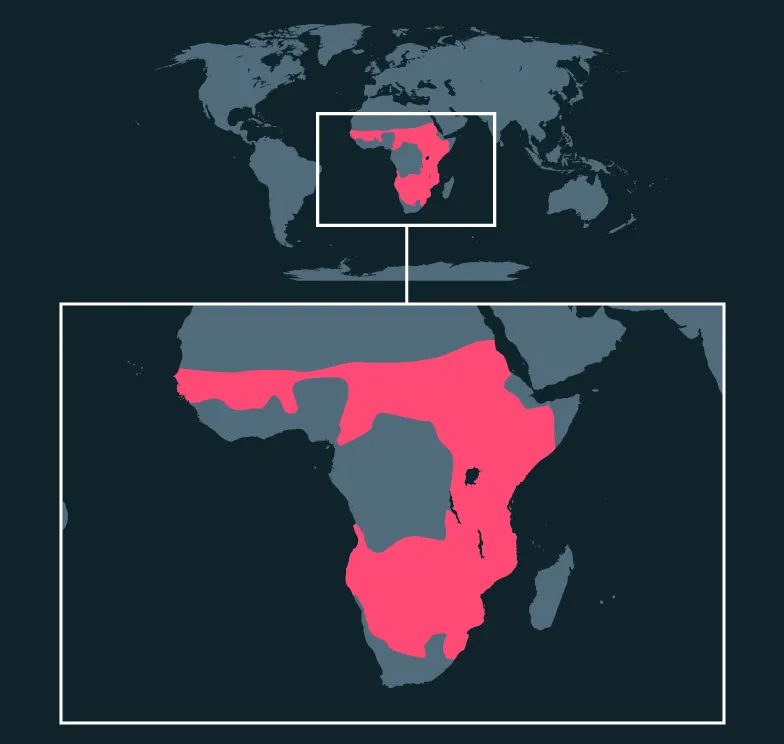 White-Backed Vulture distribution map