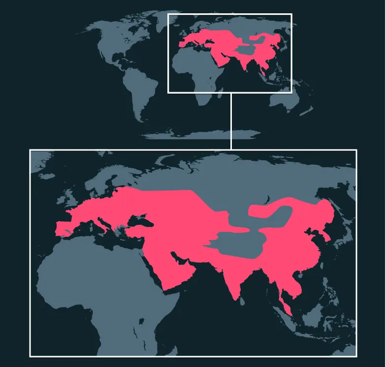 Wild Boar distribution map