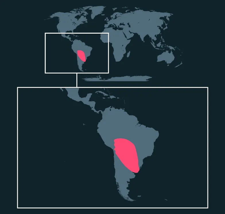 Yellow Anaconda distribution map