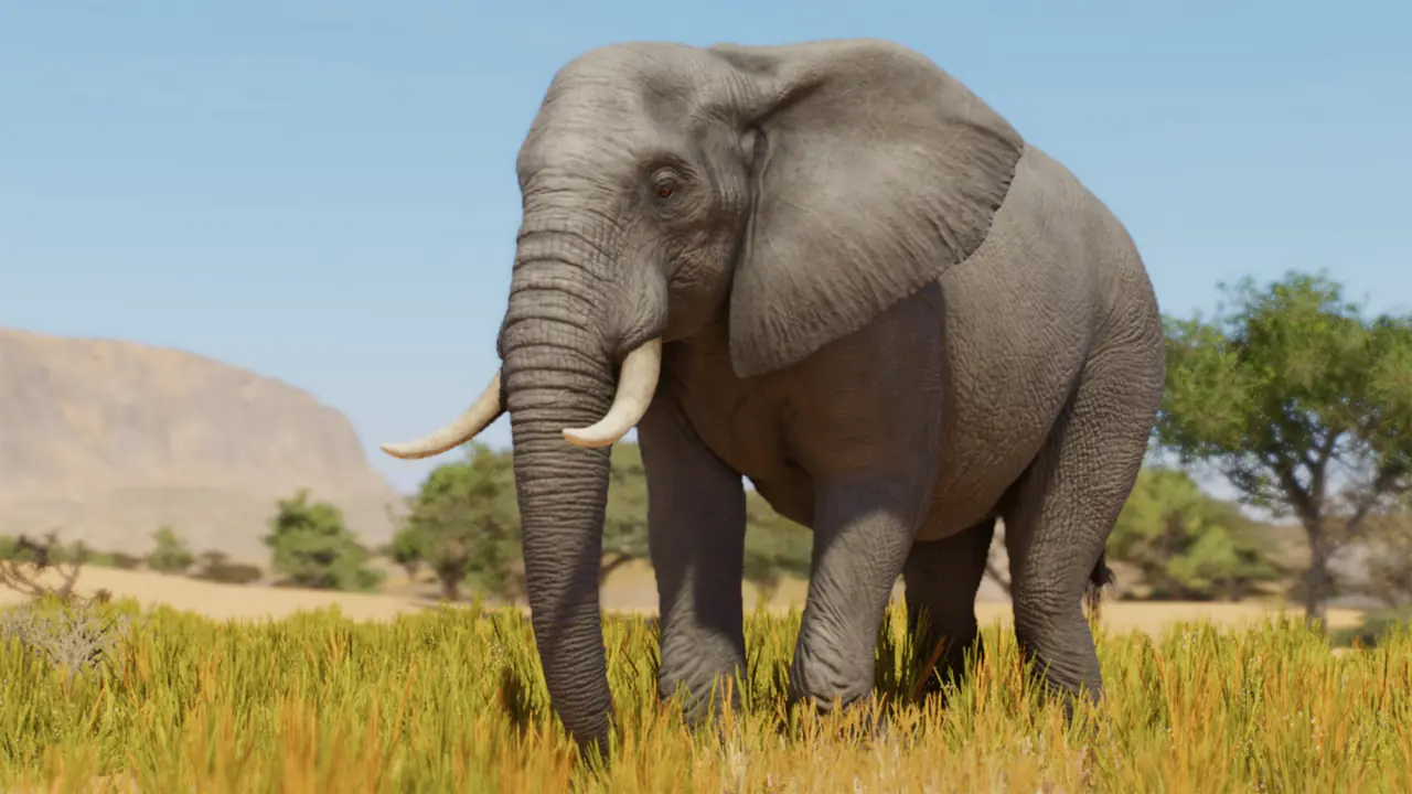 African Savannah Elephant in Planet Zoo 2