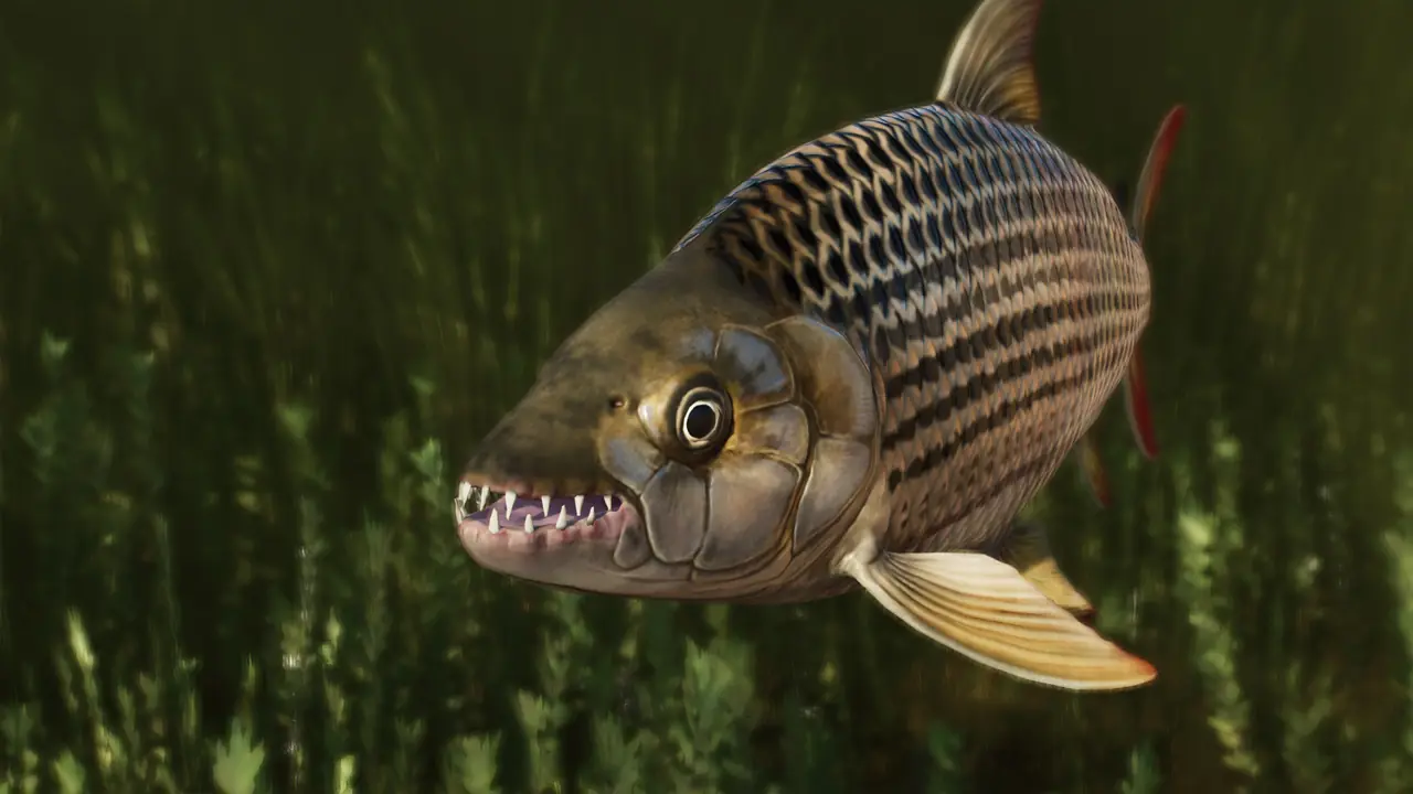 African Tigerfish in Planet Zoo 2