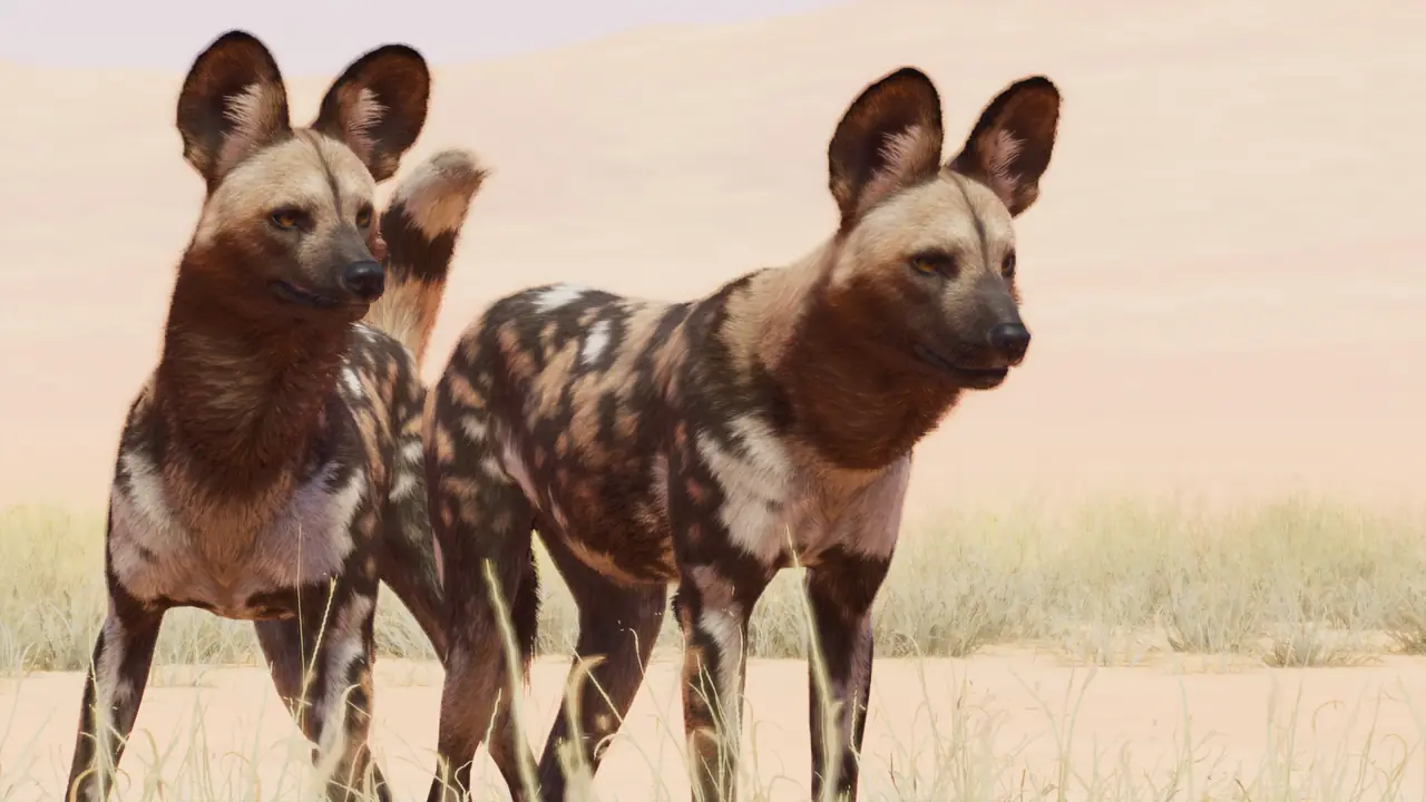 African Wild Dog in Planet Zoo 2