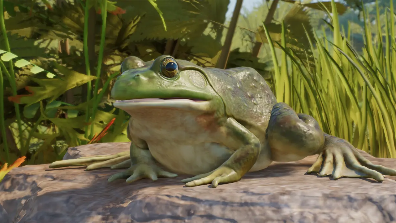American Bullfrog in Planet Zoo 2