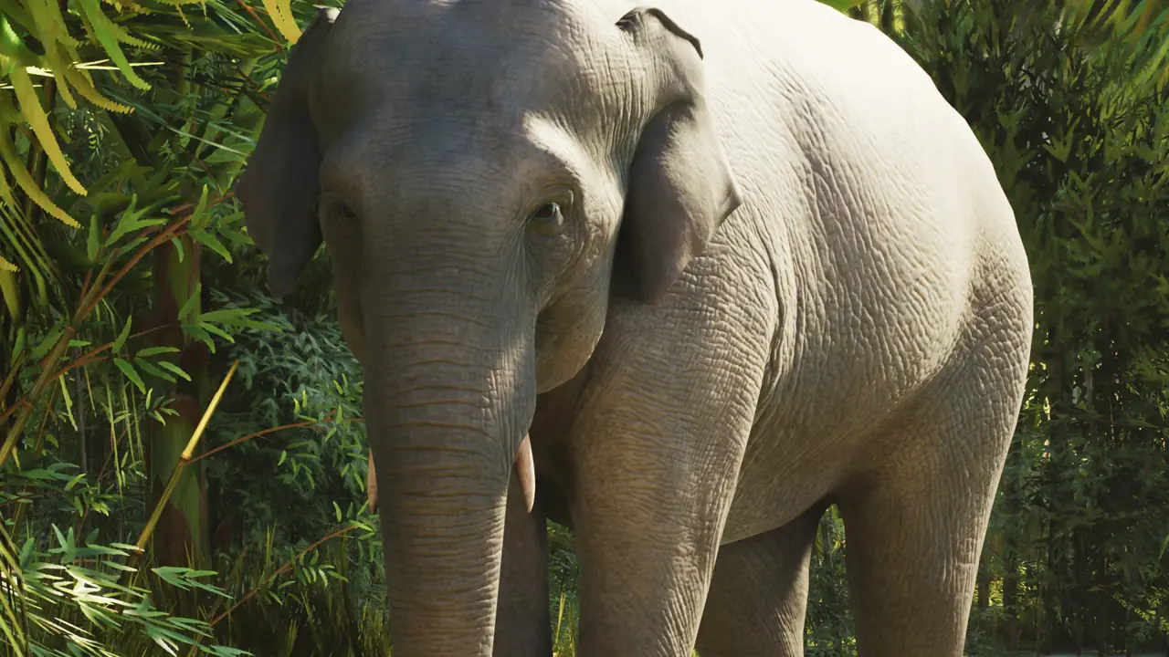 Asian Elephant in Planet Zoo 2