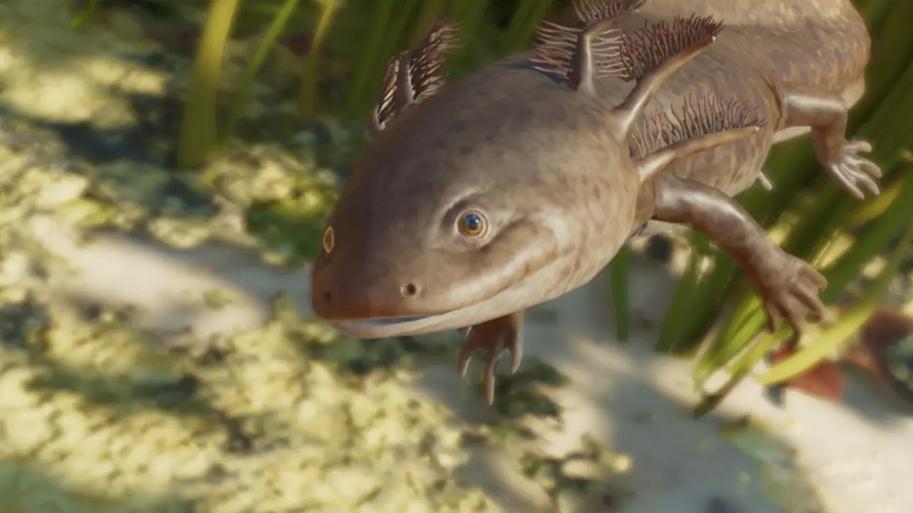 Axolotl in Planet Zoo 2