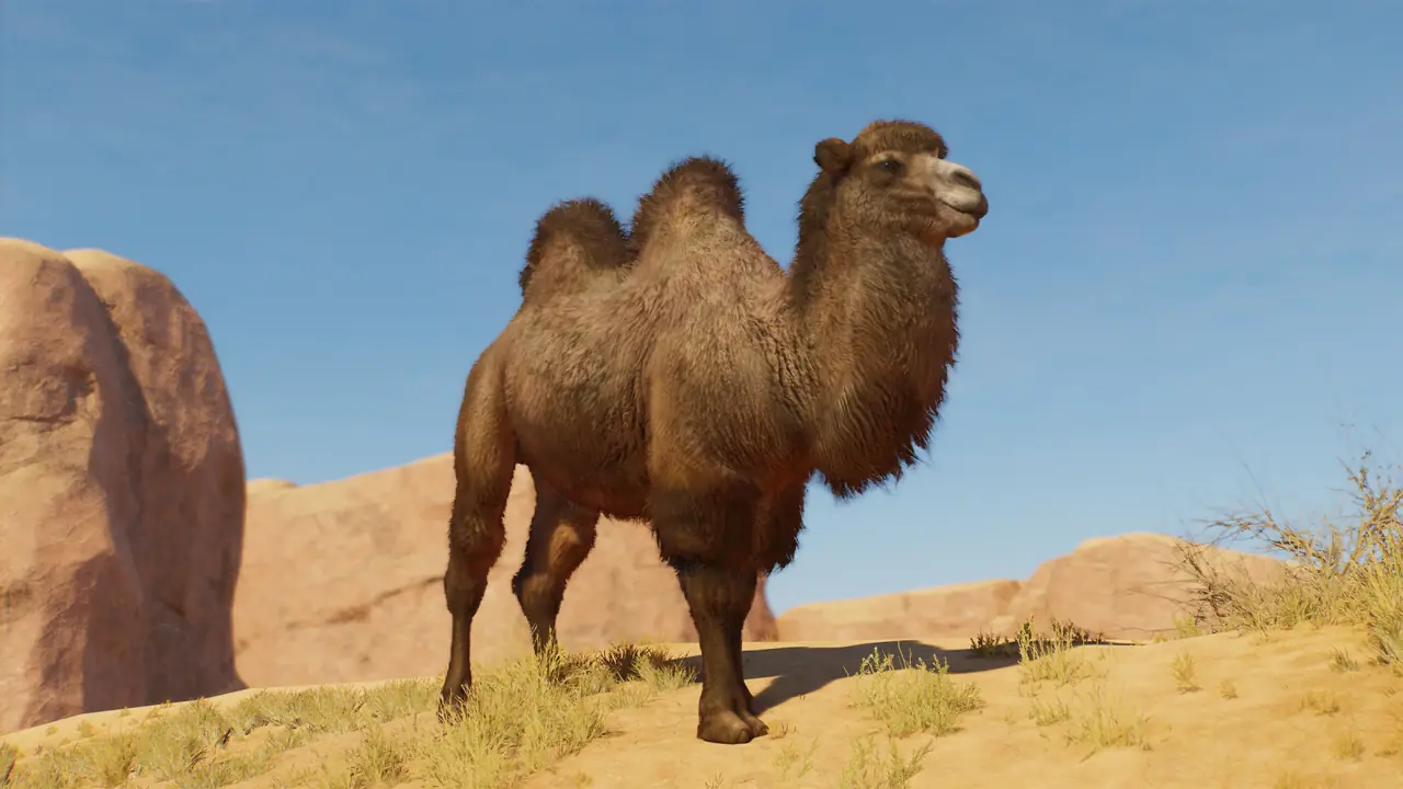 Bactrian Camel in Planet Zoo 2