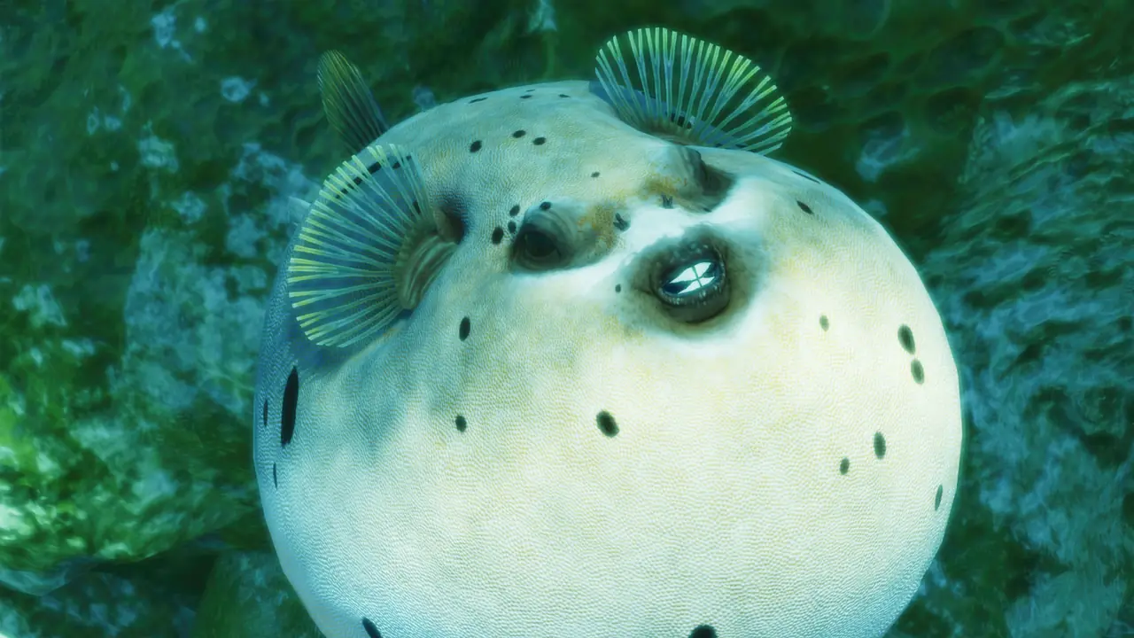 Blackspotted Puffer in Planet Zoo 2