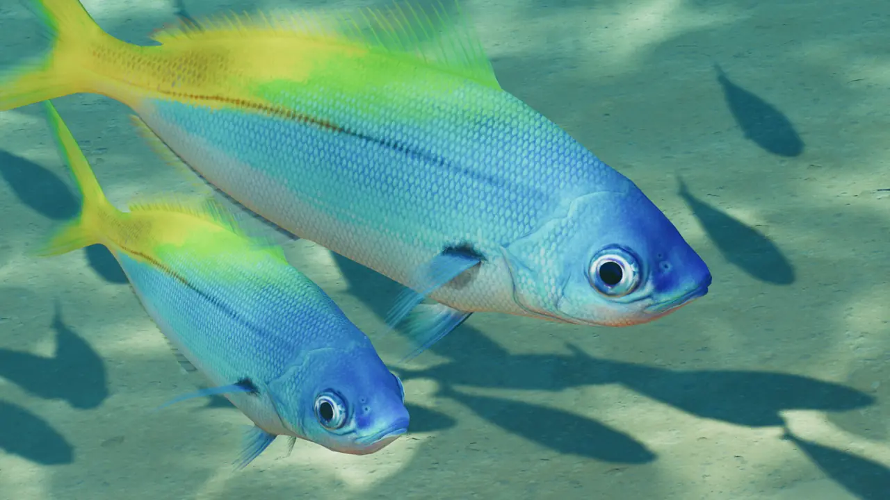 Blue and Gold Fusilier in Planet Zoo 2