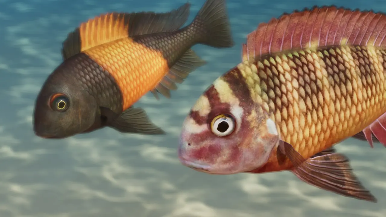 Blunthead Cichlid in Planet Zoo 2