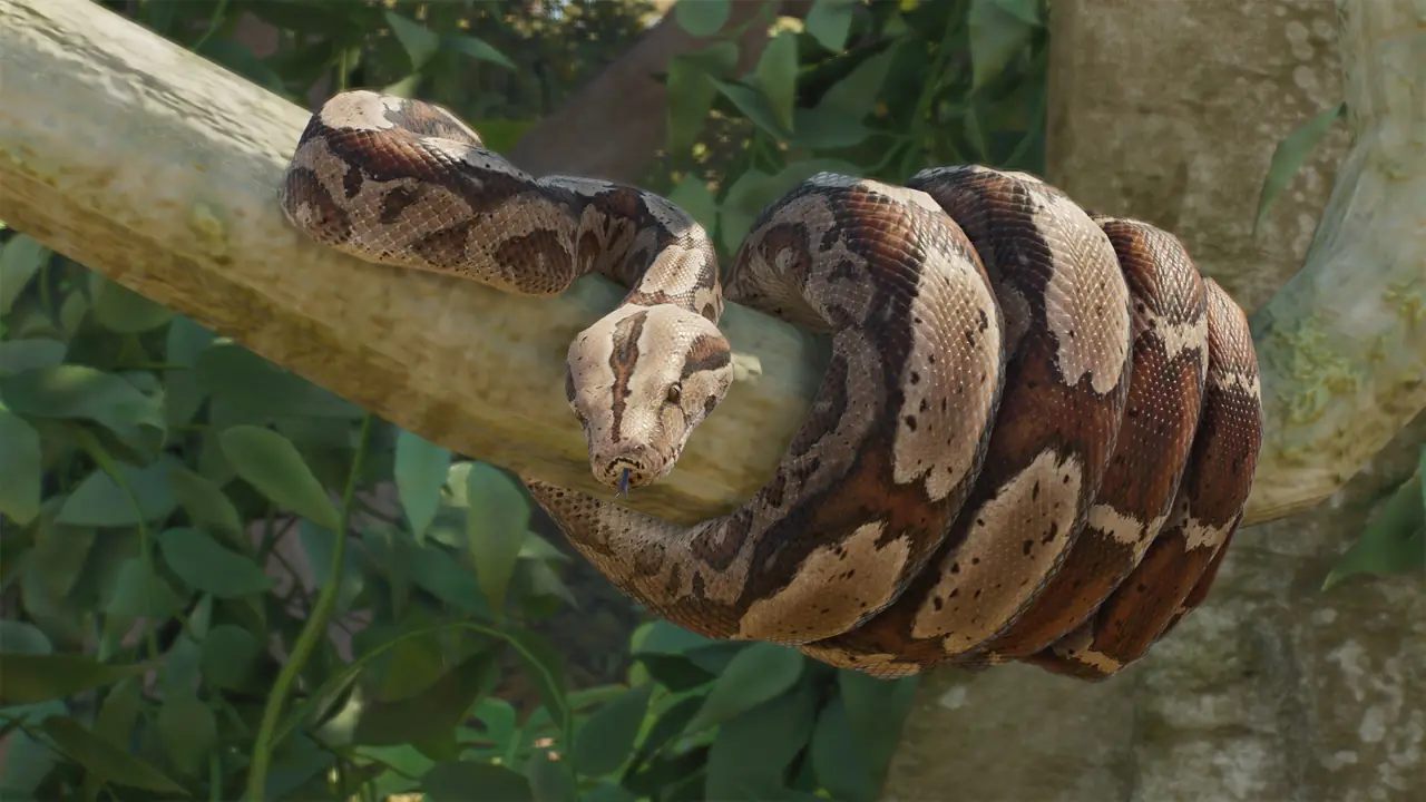 Boa Constrictor in Planet Zoo 2