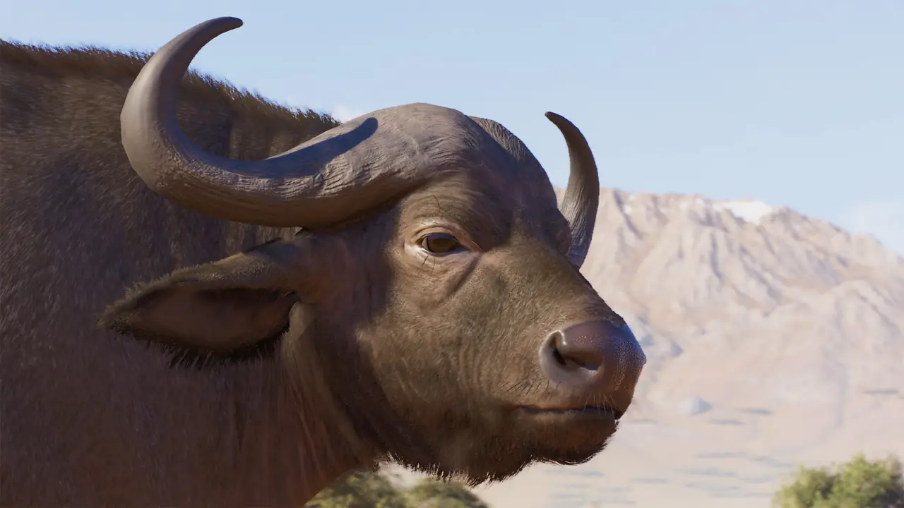 Cape Buffalo in Planet Zoo 2