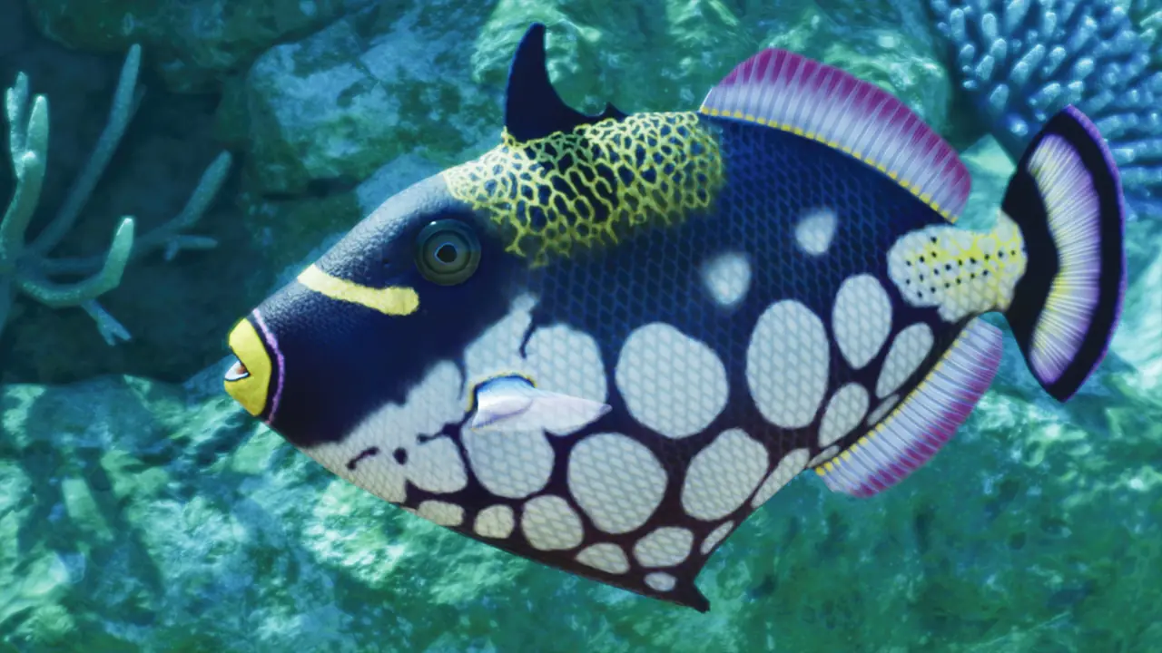 Clown Triggerfish in Planet Zoo 2