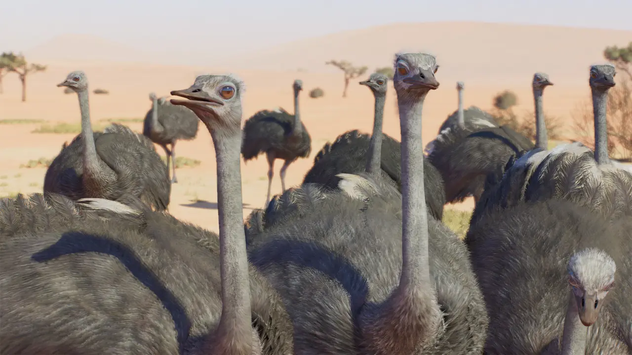 Common Ostrich in Planet Zoo 2