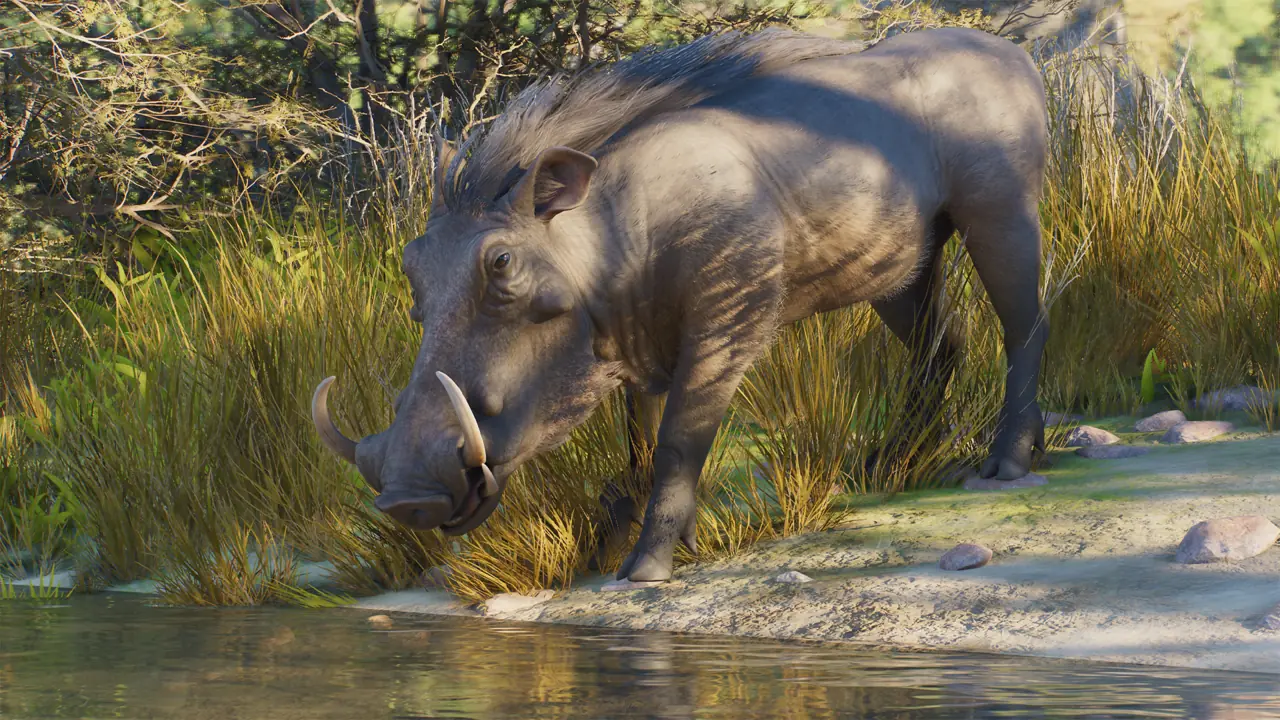 Common Warthog in Planet Zoo 2
