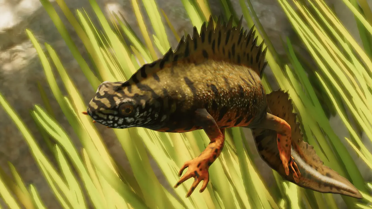 Danube Crested Newt in Planet Zoo 2