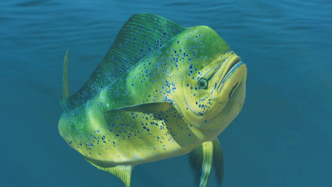 Dolphinfish in Planet Zoo 2