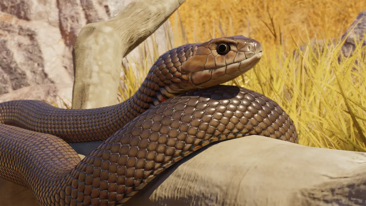 Eastern Brown Snake in Planet Zoo 2