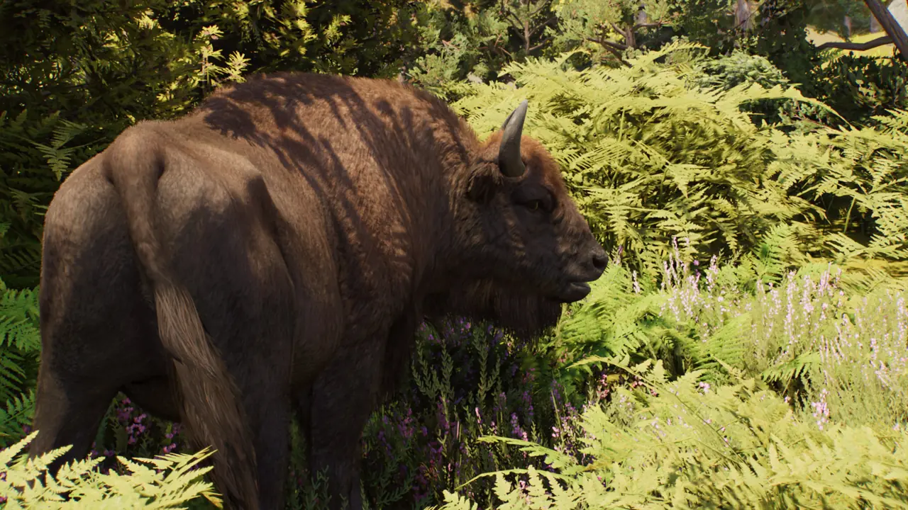 European Bison in Planet Zoo 2