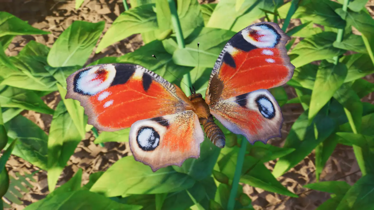 European Peacock in Planet Zoo 2