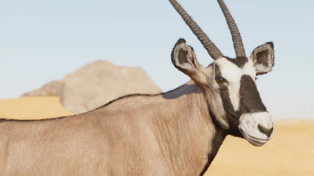 Gemsbok in Planet Zoo 2