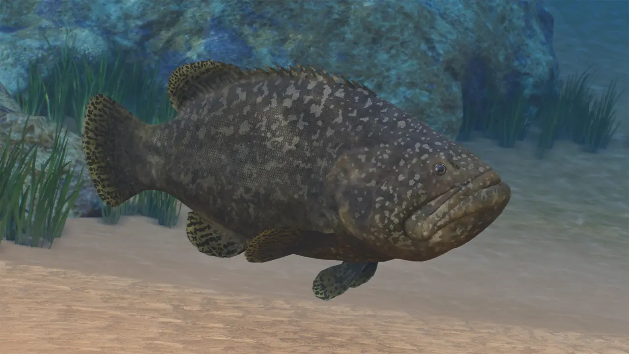 Giant Grouper in Planet Zoo 2