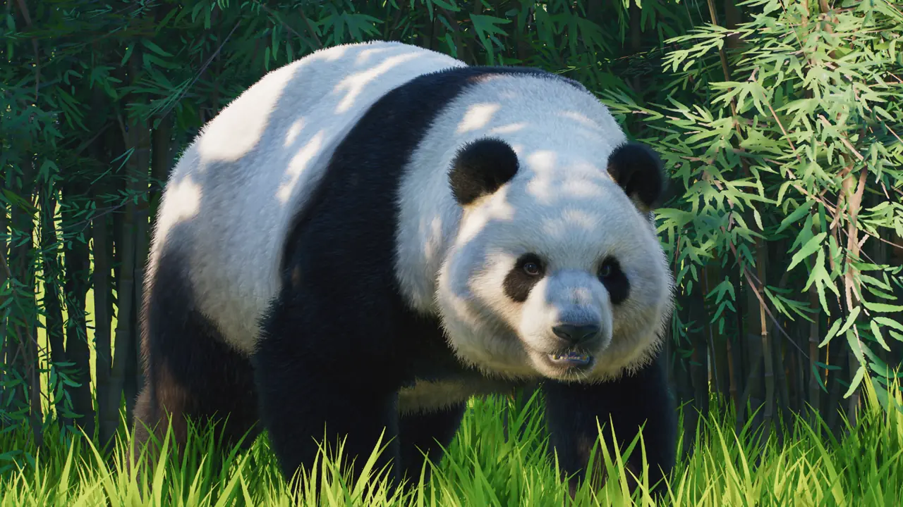 Giant Panda in Planet Zoo 2