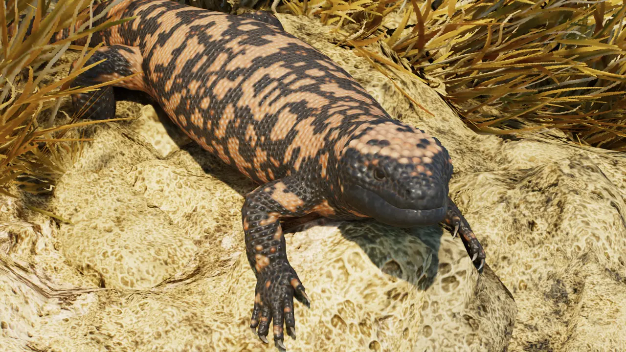 Gila Monster in Planet Zoo 2