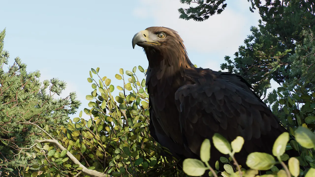 Golden Eagle in Planet Zoo 2