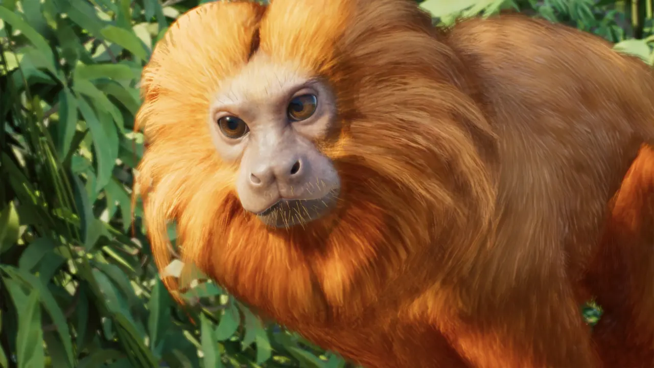 Golden Lion Tamarin in Planet Zoo 2