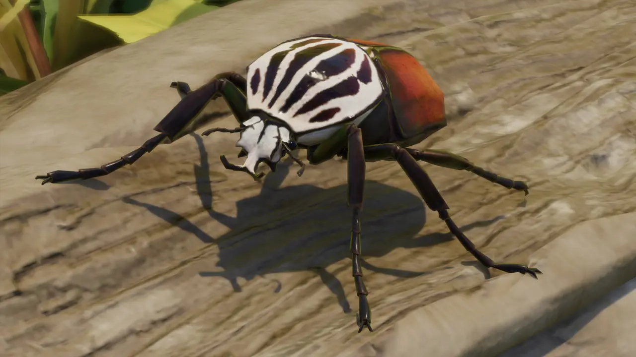 Goliath Beetle in Planet Zoo 2