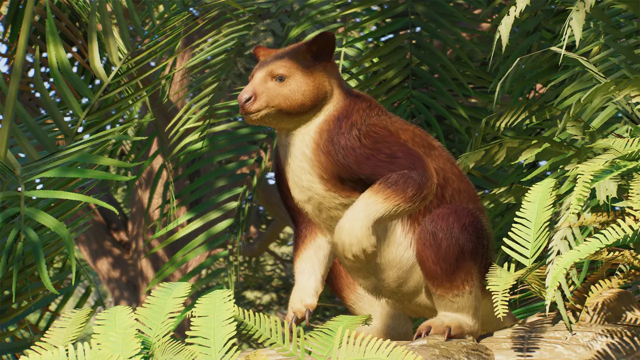 Goodfellow's Tree-Kangaroo in Planet Zoo 2