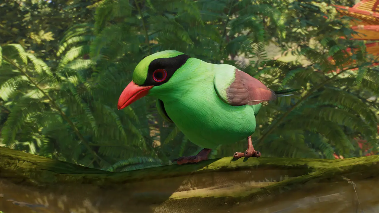 Javan Green Magpie in Planet Zoo 2