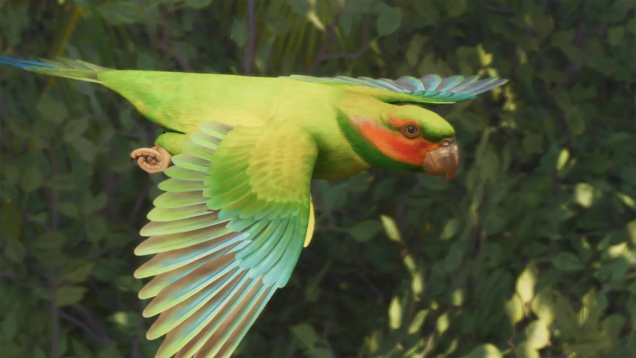 Long-Tailed Parakeet in Planet Zoo 2