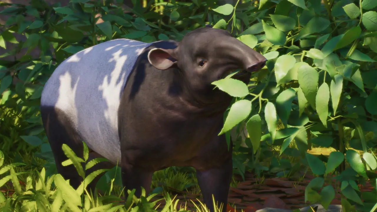 Malayan Tapir in Planet Zoo 2
