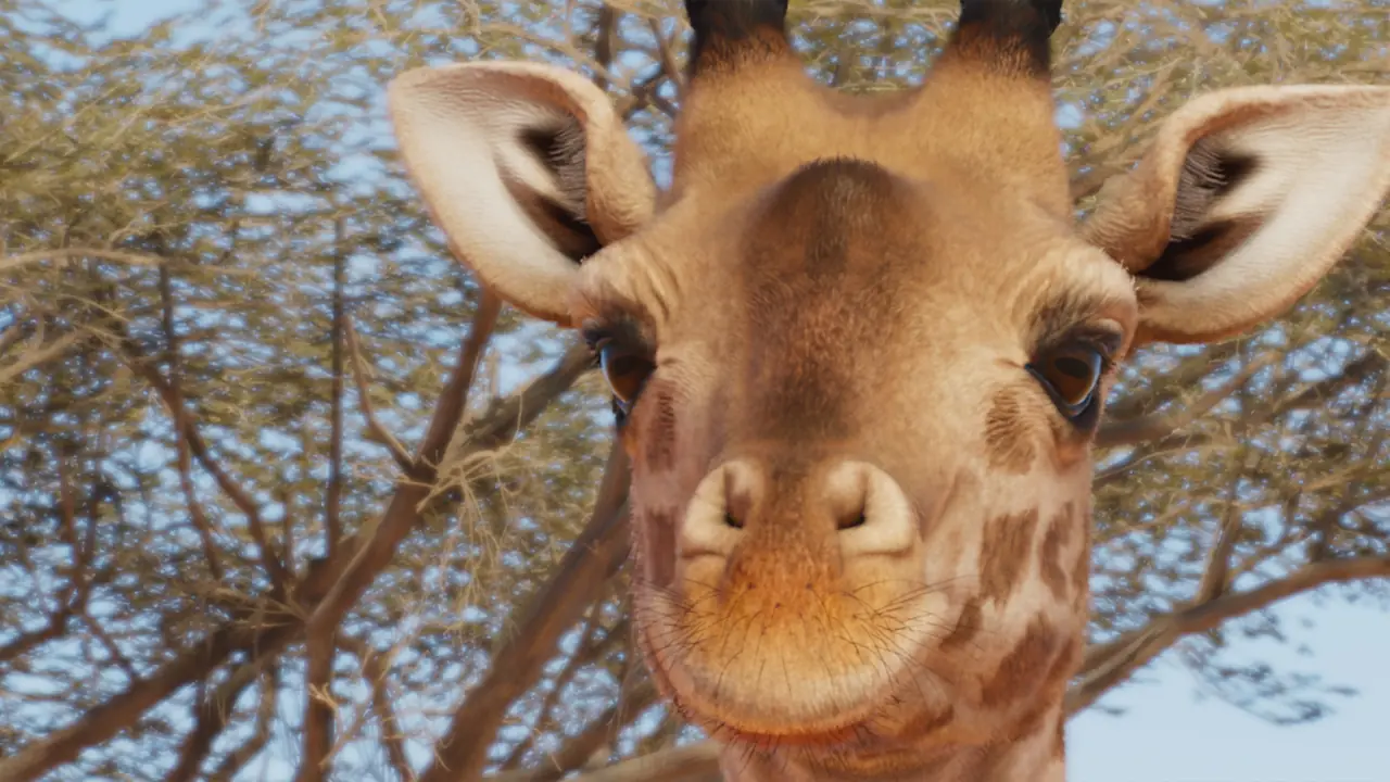 Masai Giraffe in Planet Zoo 2