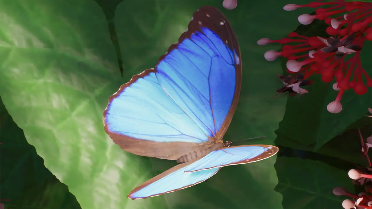 Menelaus Blue Morpho in Planet Zoo 2