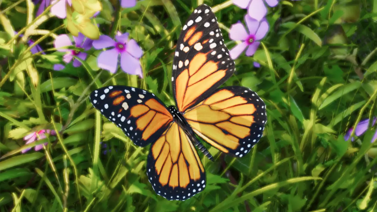 Monarch in Planet Zoo 2