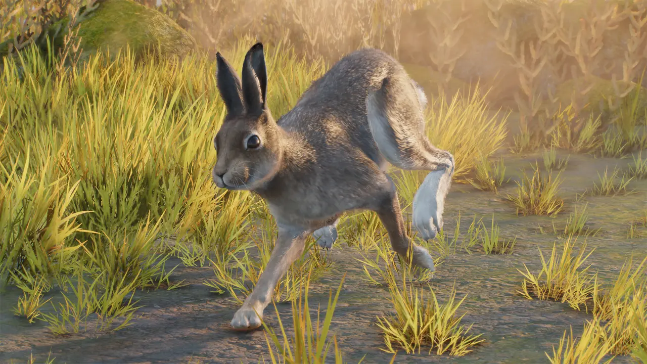 Mountain Hare in Planet Zoo 2