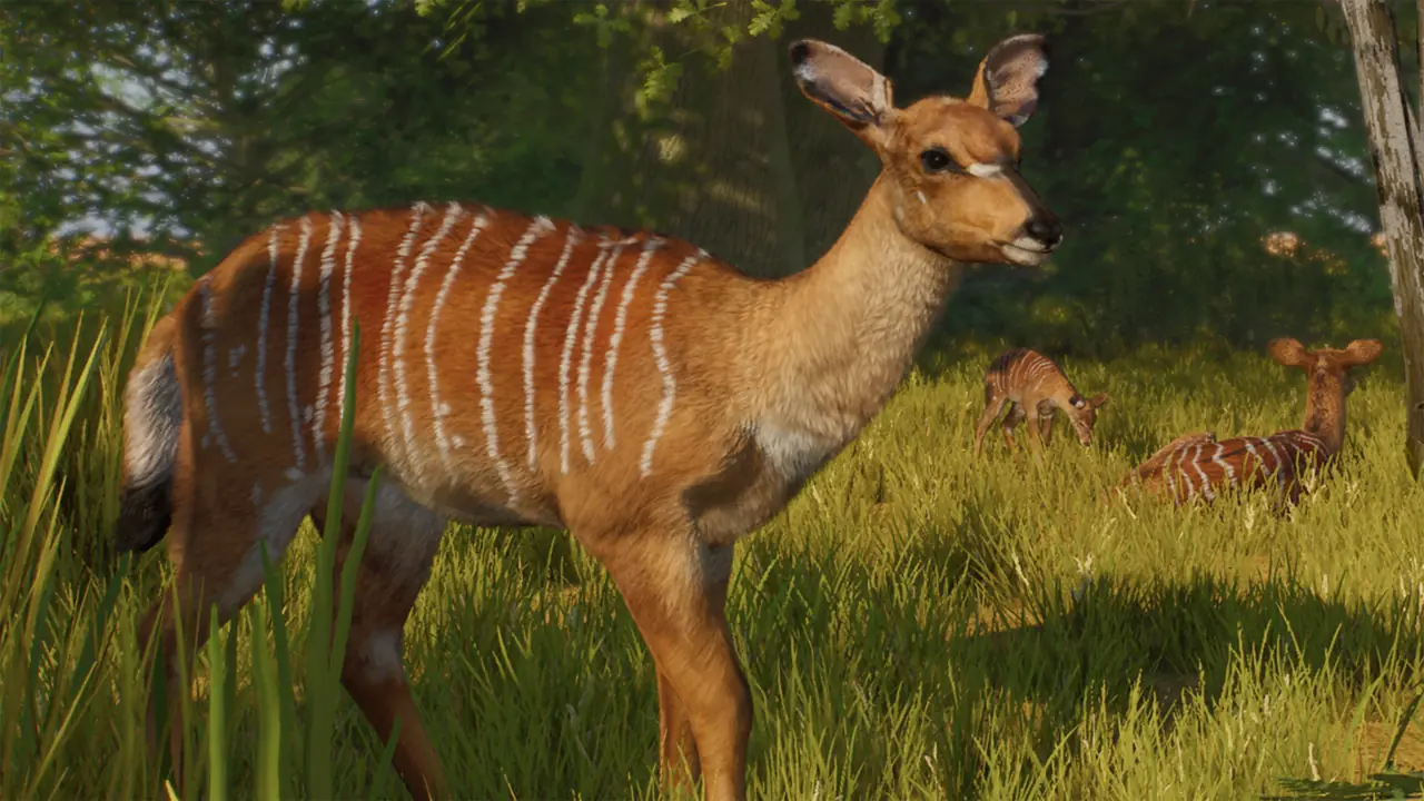 Nyala in Planet Zoo 2