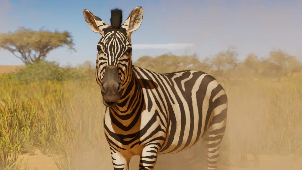 Plains Zebra in Planet Zoo 2