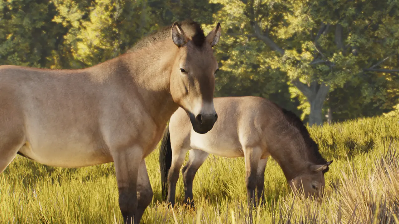 Przewalski's Horse in Planet Zoo 2