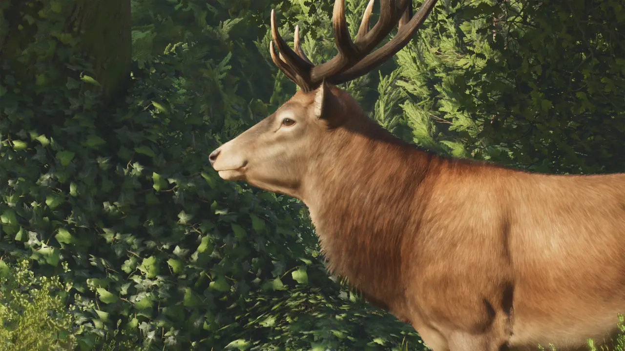 Red Deer in Planet Zoo 2